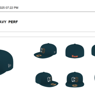 **PREORDER** Fitted Game Hat (Navy)