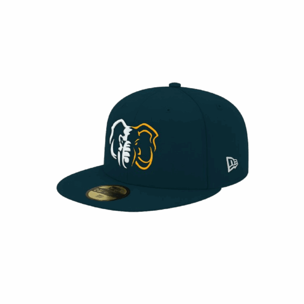 Game Hat - Fitted Primary